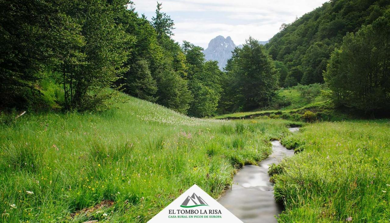 Casa Rural El Tombo La Risa Santa Maria de Valdeon Eksteriør billede